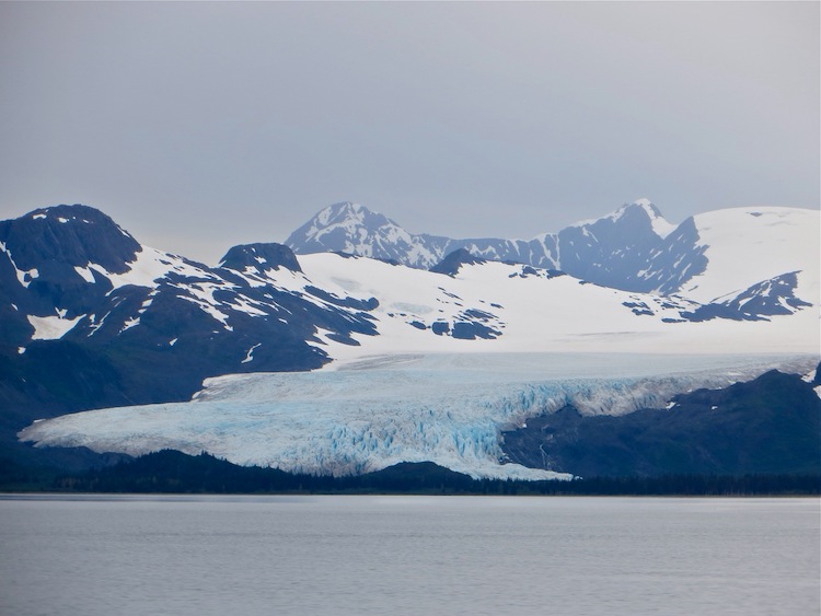 Glacier view on the 26 Glacier Cruise