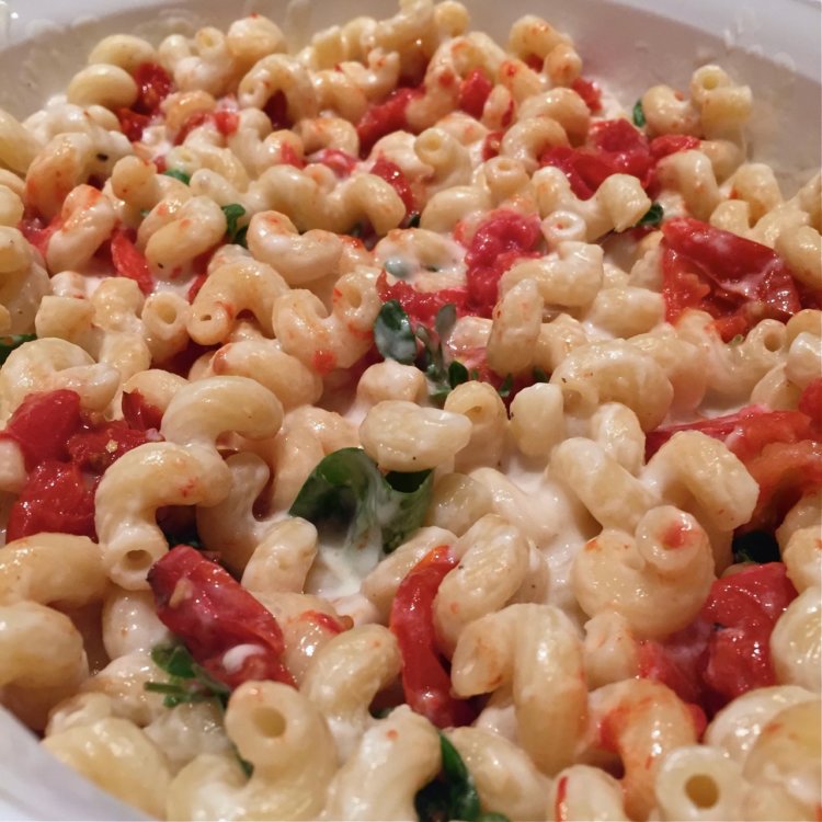 Italian Mac and Cheese | Mac and Cheese with Tomatoes