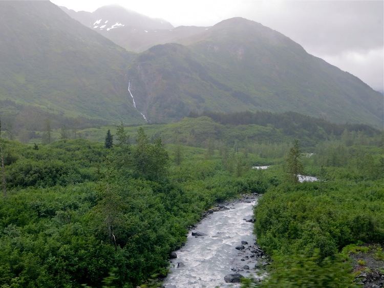 view from Train Ride to Seward