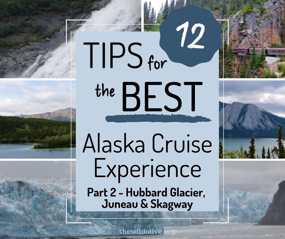 Best Alaska Cruise Experience Pt 2 - Seward, Hubbard, Juneau, Skagway