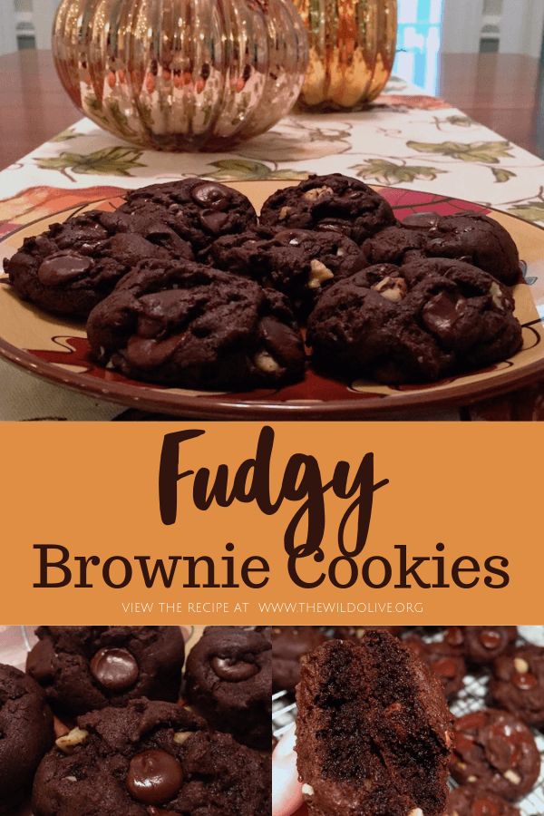 Fudgy Brownie Cookies from thewildolive.org