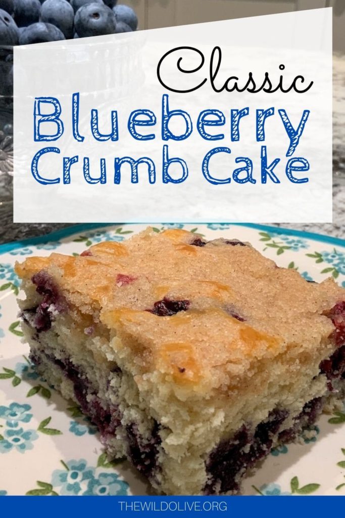 Blueberry Crumb Cake | Blueberry Desserts | Blueberry Coffeecake