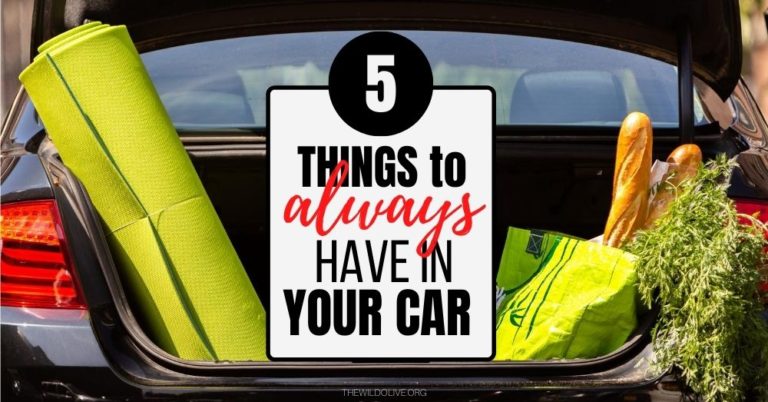 5 Things to Always Have in Your Car