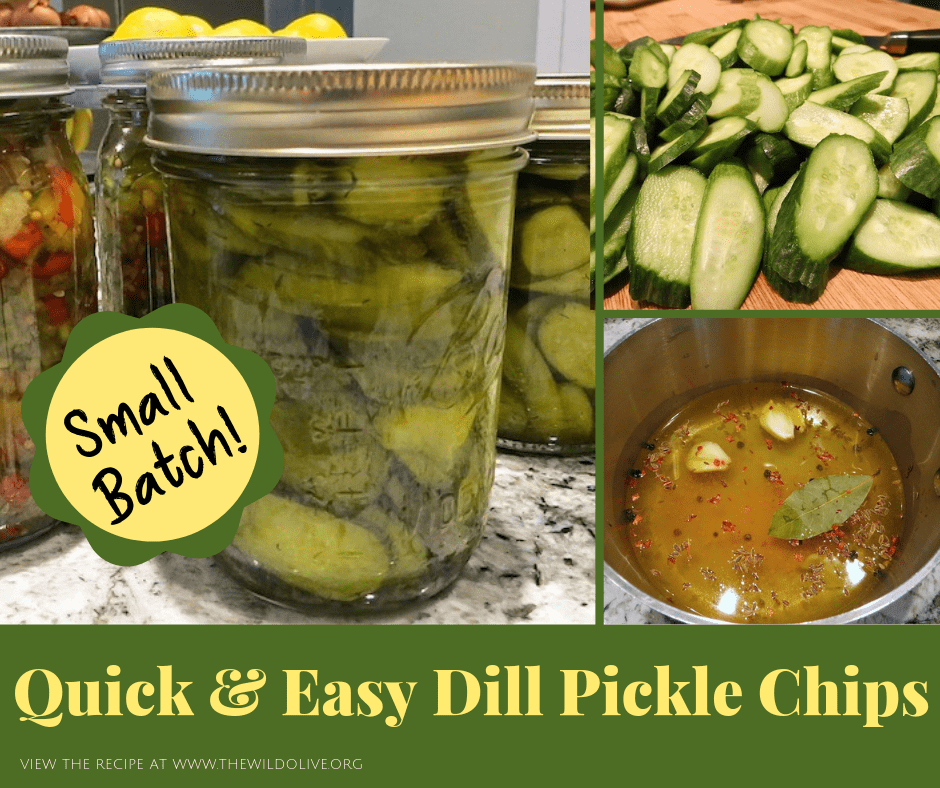 Facebook Image for Dill Pickle Chip Recipe
