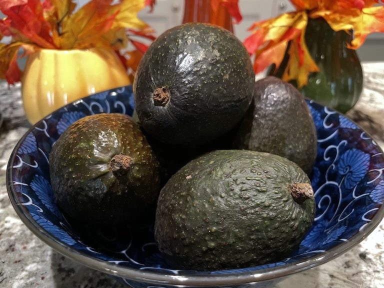 How to Pick a Good Avocado – and Keep it Fresh