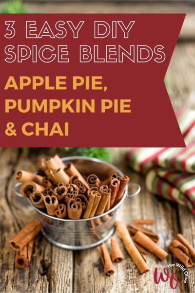 Pinnable image for Spice Blend recipe Posts