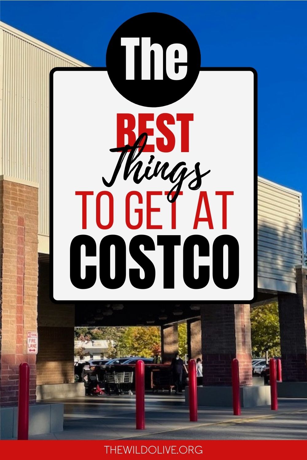 Pinnable Image for article on best things to buy at Costco