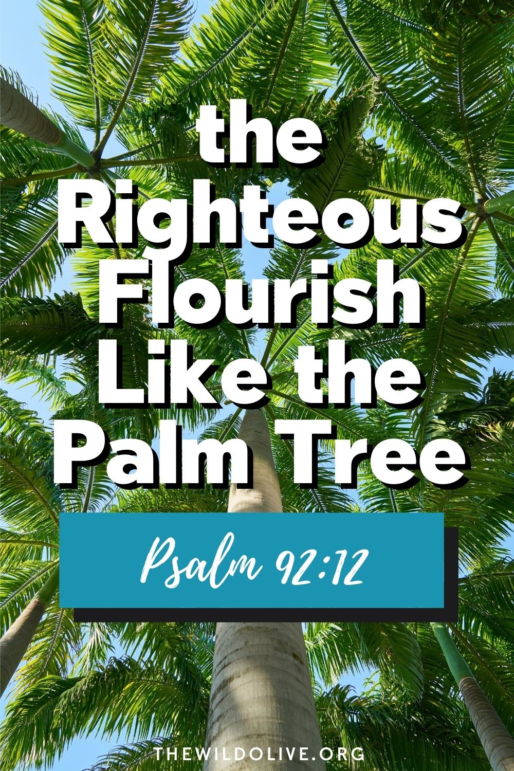 Pinnable Image for Article on Ps 92:12 - the righteous flourish like the palm tree